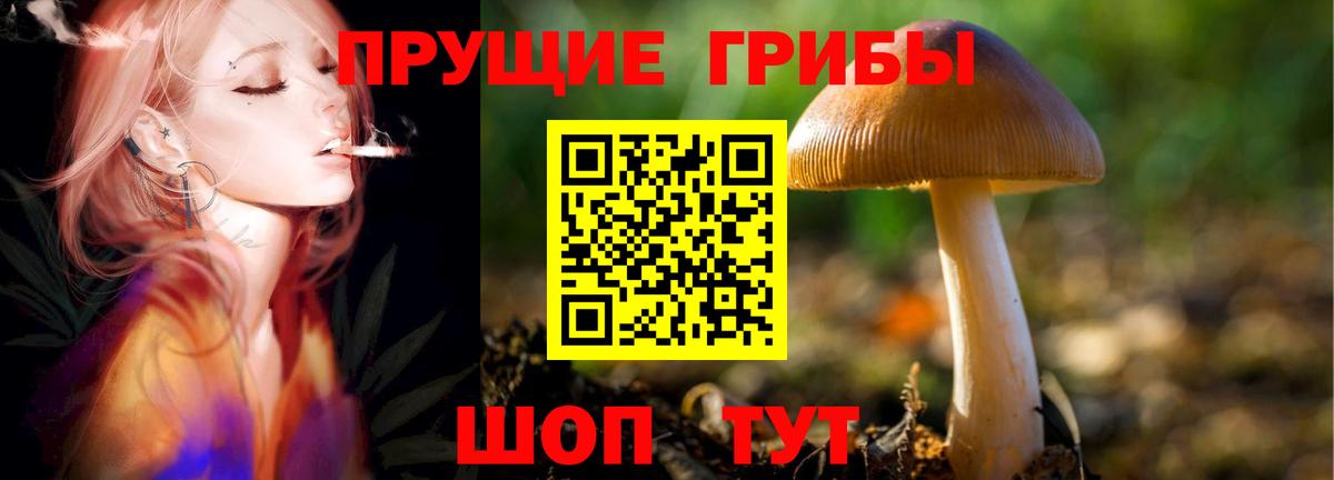Псилоцибиновые грибы GOLDEN TEACHER  Вход с VPN  Симферополь 